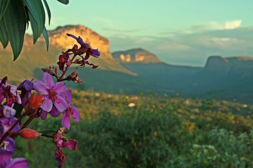 Dicas de viagem da Chapada Diamantina
