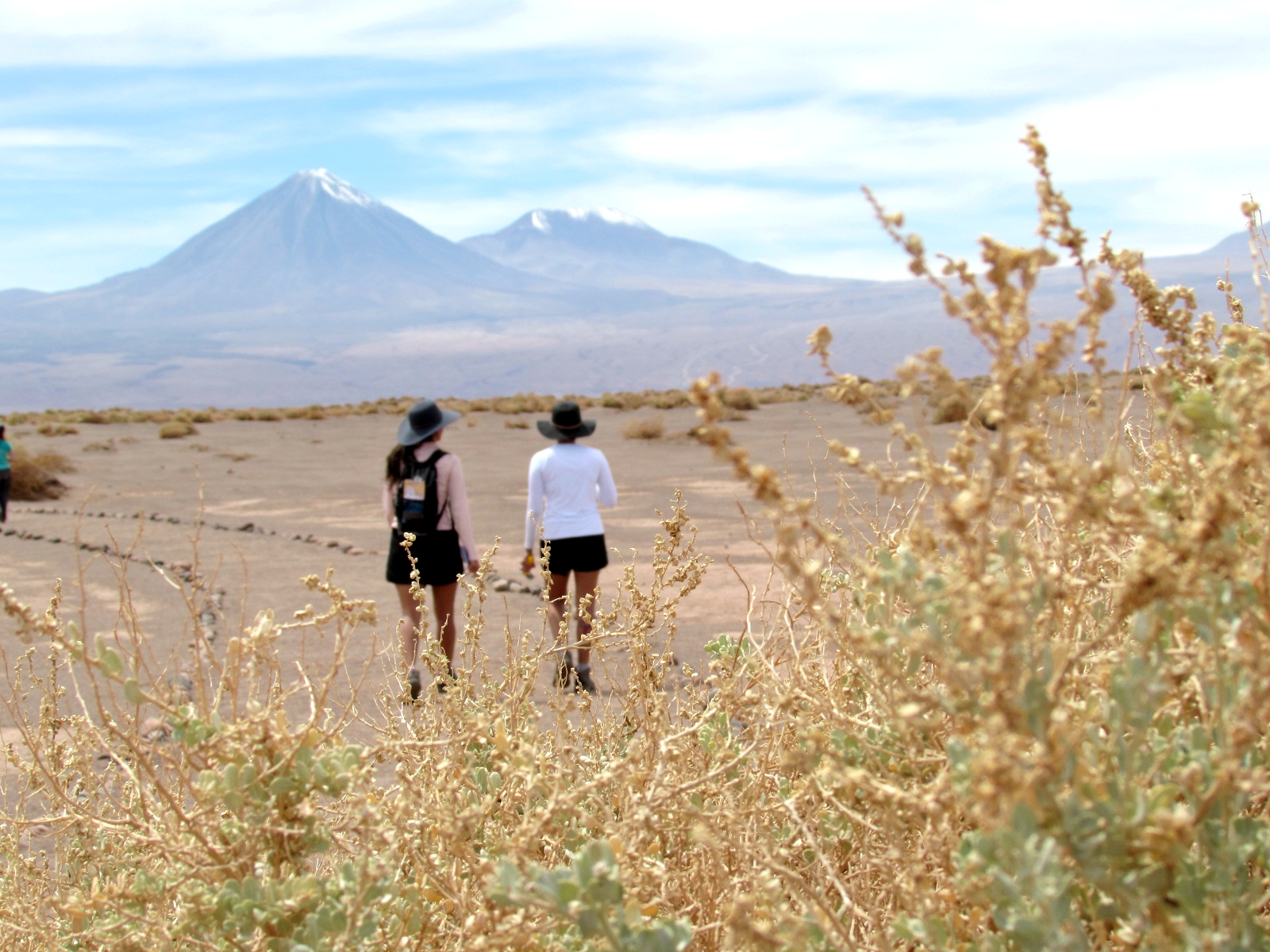 como chegar no Deserto do Atacama