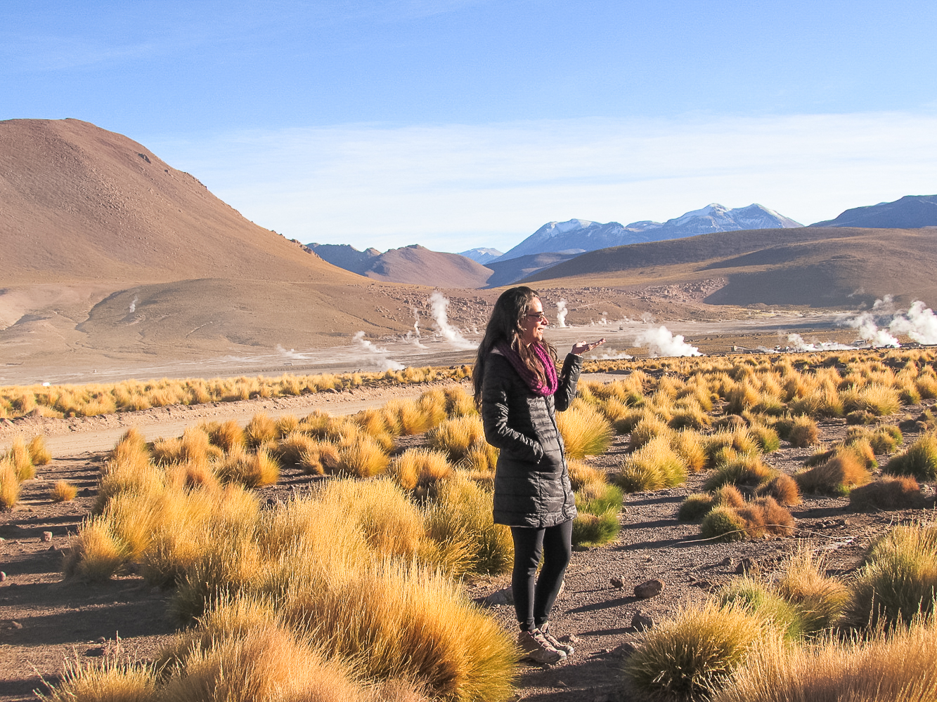 Geysers del Tatio no Deserto do Atacama