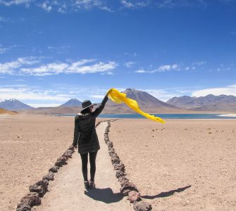 Lagunas Altiplânicas no Deserto do Atacama