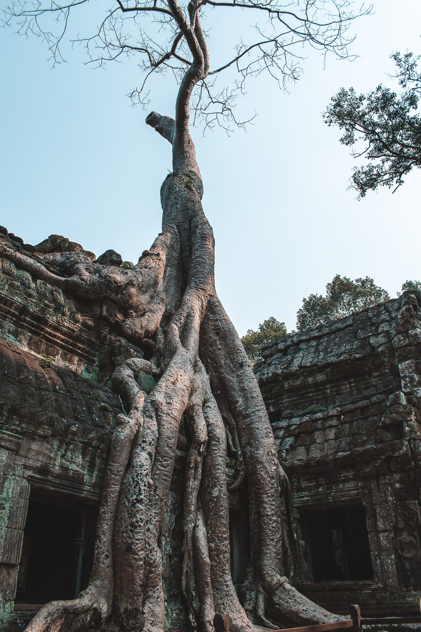 Angkor Wat no Camboja