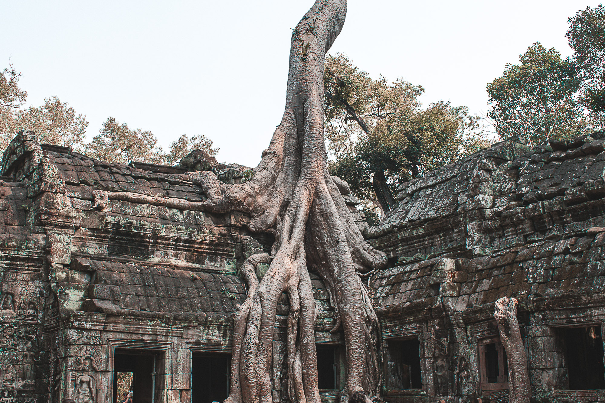 Custos viagem Siem Raep Camboja