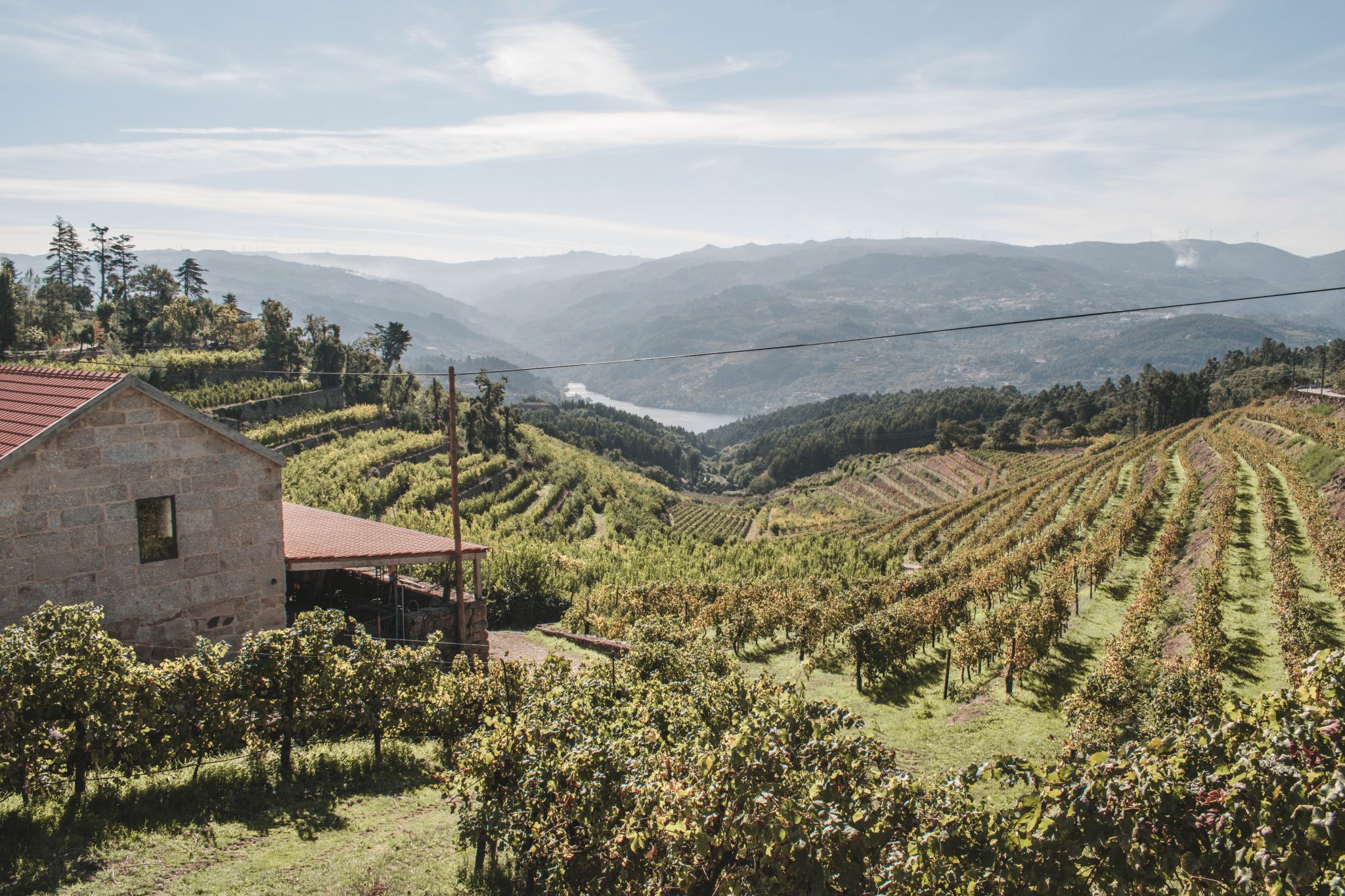 O que fazer no Vale do Douro