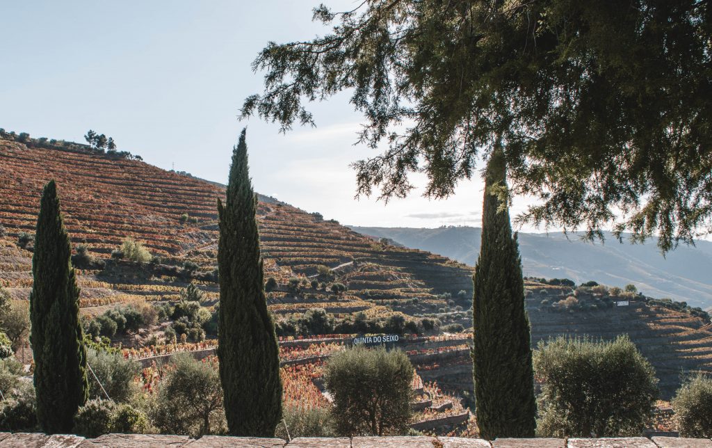 Melhores vinícolas no Vale do Douro Portugal