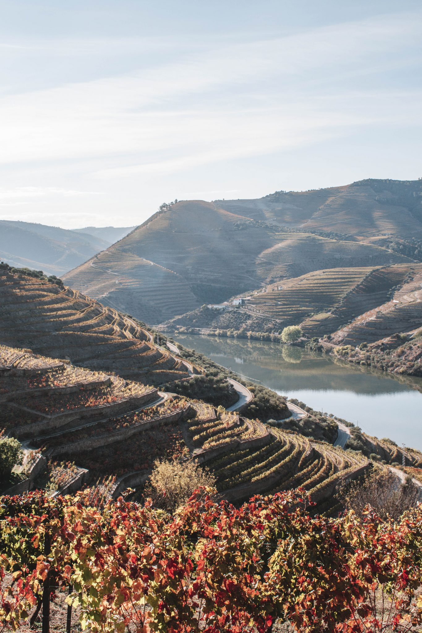 Dicas de viagem do Vale do Douro em Portugal