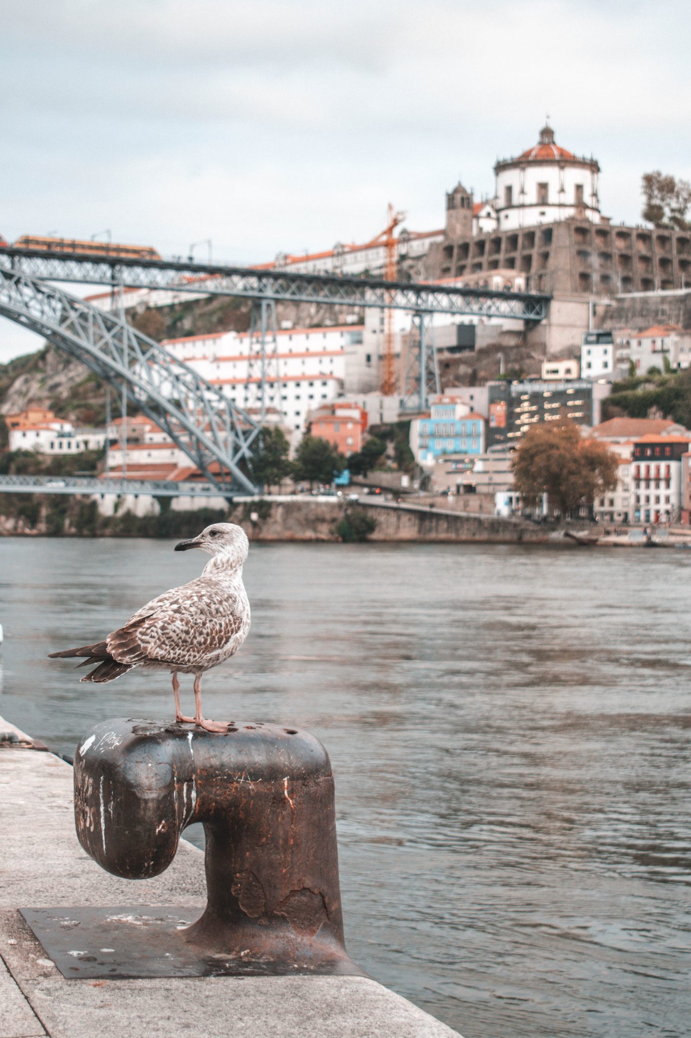 Dicas de viagem do Porto Portugal